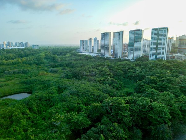 Cave à vins : 10 astuces pour un stockage parfait et stylé