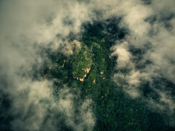 Les installation immersives de la Biennale de Lyon : Une expérience unique